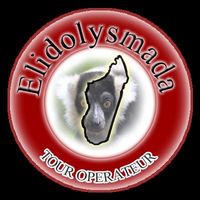 Elidolys-mada Logo