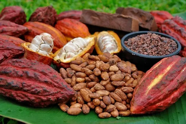 cacao, Chocolaterie, Tourisme Tamatave, Toamasina
