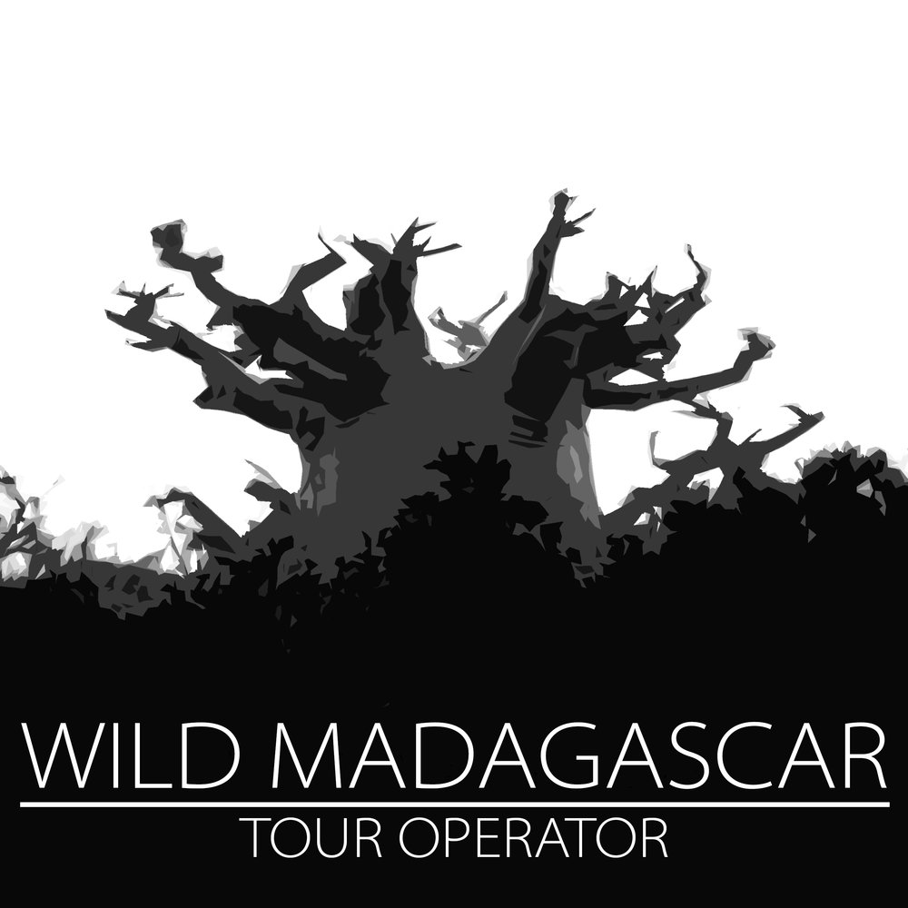 wild-madagascar